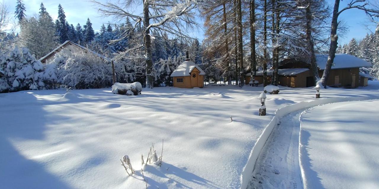 Chalet De Martimprey - Chalets - Gites - Chambres D' Hotes Et Spas Gérardmer Zewnętrze zdjęcie