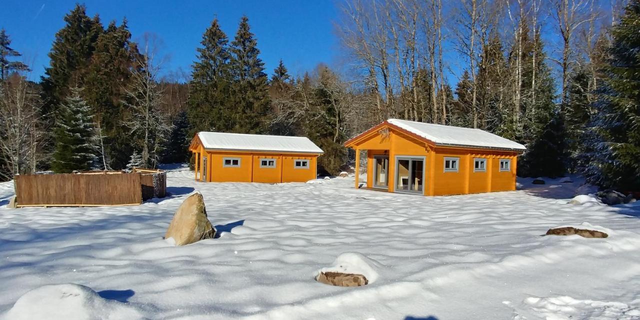 Chalet De Martimprey - Chalets - Gites - Chambres D' Hotes Et Spas Gérardmer Zewnętrze zdjęcie
