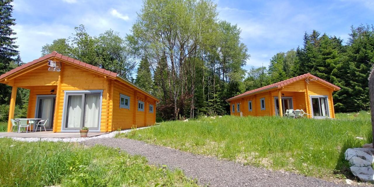 Chalet De Martimprey - Chalets - Gites - Chambres D' Hotes Et Spas Gérardmer Zewnętrze zdjęcie