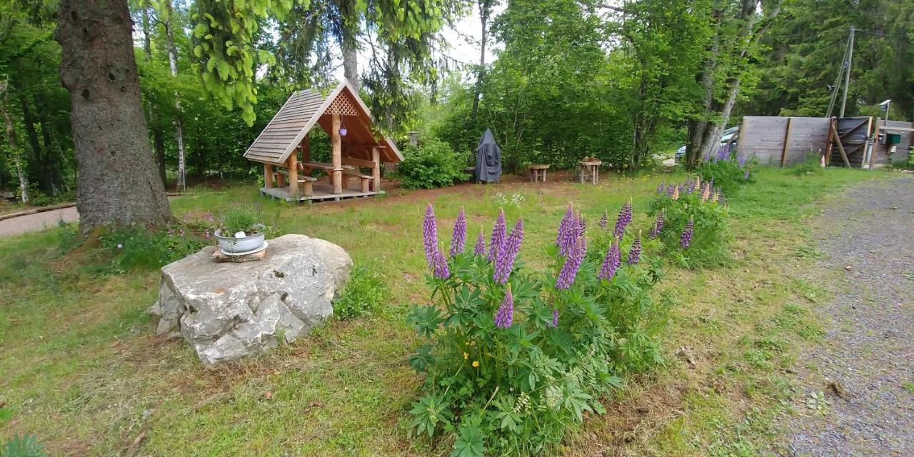 Chalet De Martimprey - Chalets - Gites - Chambres D' Hotes Et Spas Gérardmer Zewnętrze zdjęcie