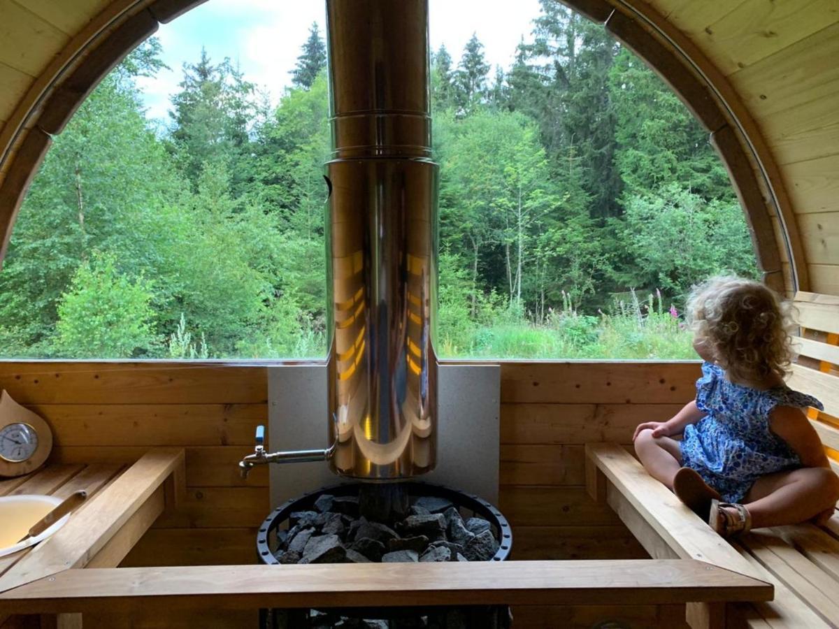 Chalet De Martimprey - Chalets - Gites - Chambres D' Hotes Et Spas Gérardmer Zewnętrze zdjęcie