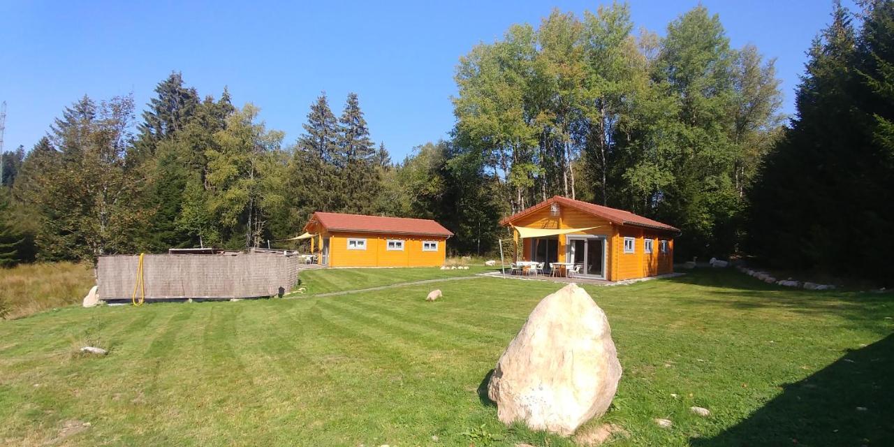 Chalet De Martimprey - Chalets - Gites - Chambres D' Hotes Et Spas Gérardmer Zewnętrze zdjęcie